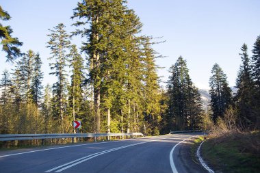 Arabayla seyahat etmek. Ormanın içinden geçen dağlardaki patika. Lehçe Tatras.