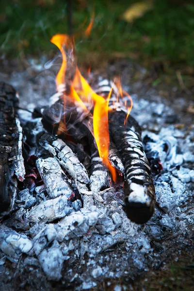 Oheň, dřevo na podpal. Hořící oheň. Dřevěný popel — Stock fotografie