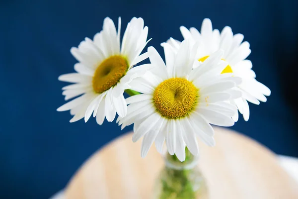 Gänseblümchen in Vase auf altem Holztisch — Stockfoto