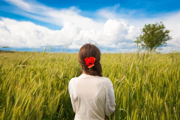 Beautiful girl is standing with her back in a white dress in a wheat field — Stok fotoğraf