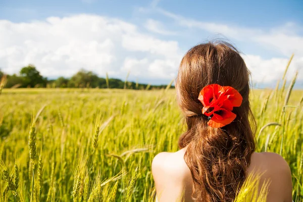 Beautiful girl is standing with her back in a white dress in a wheat field — Stok fotoğraf