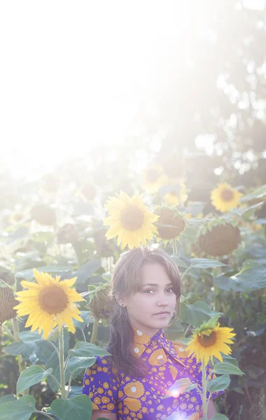 Very beautiful sunny girl in sunflowers — 图库照片