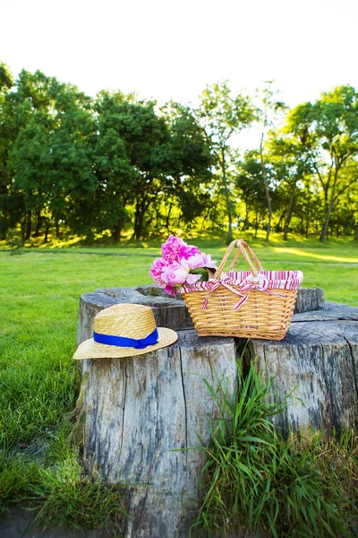 Bellissimo Cappello Paglia Fiori Cesto Poggiano Ceppo Legno — Foto Stock