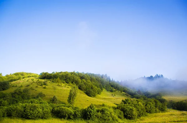 Morgon Landskap Med Dimma Karpaterna Ukraina — Stockfoto