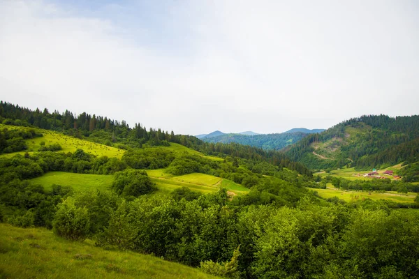 喀尔巴阡山脉美丽的夏季风景 乌克兰 — 图库照片