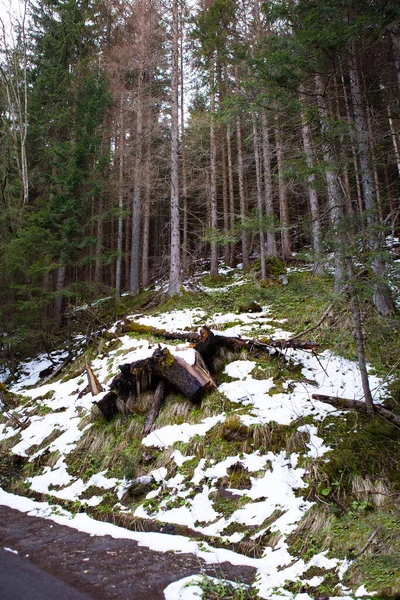 Väg Till Havs Ögat Polen Vägen Till Skogen Höga Tatrabergen — Stockfoto