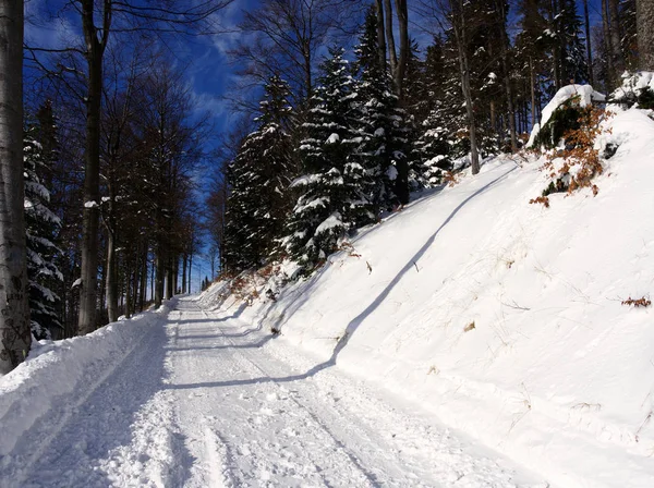Dağları'nda kışın yol 