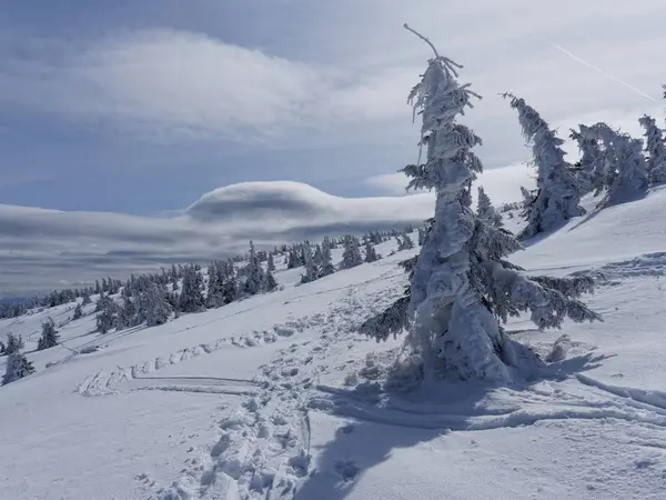 En yüksek Dumbier düşük Tatra içinde