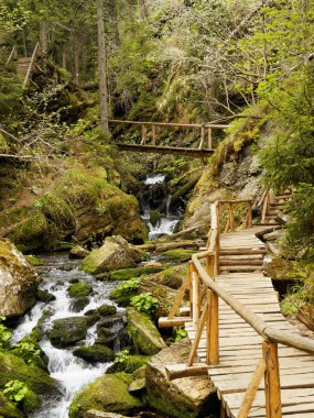 Buhar ahşap yaya köprüsü 