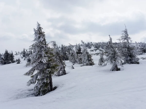 Primera nieve en Polonia — Foto de Stock