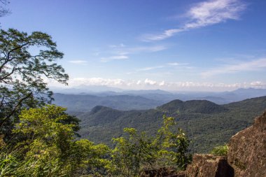 Atlantik ormanı manzara