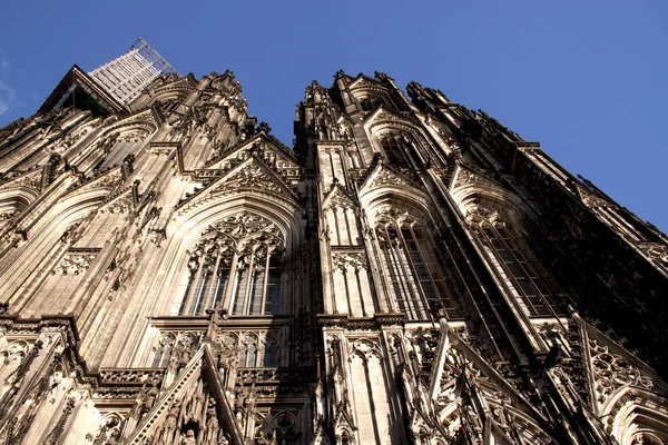 The Cathedral of Cologne — Stock Photo, Image