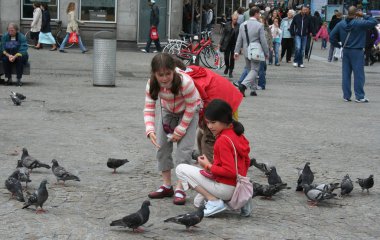 Amsterdam'da Dam Meydanı nda güvercin besleme çocuk
