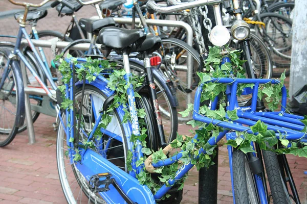 Vélo décoré à Amsterdam — Photo