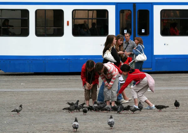 Stationsplein à Amsterdam — Photo