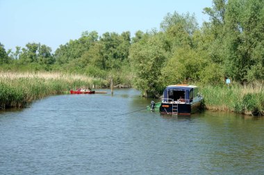 Biesbosch Milli Parkı, 