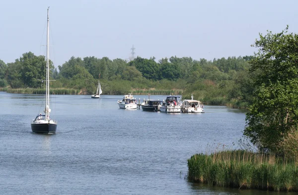 Parque nacional de Biesbosch , —  Fotos de Stock