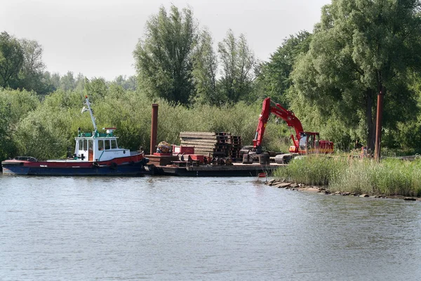 Biesbosch parque nacional , — Fotografia de Stock