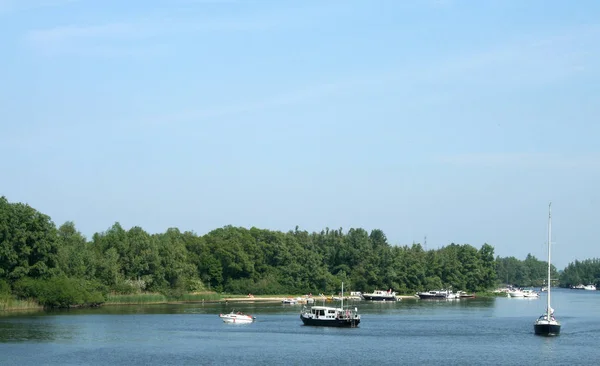 Biesbosch 국립 공원, — 스톡 사진