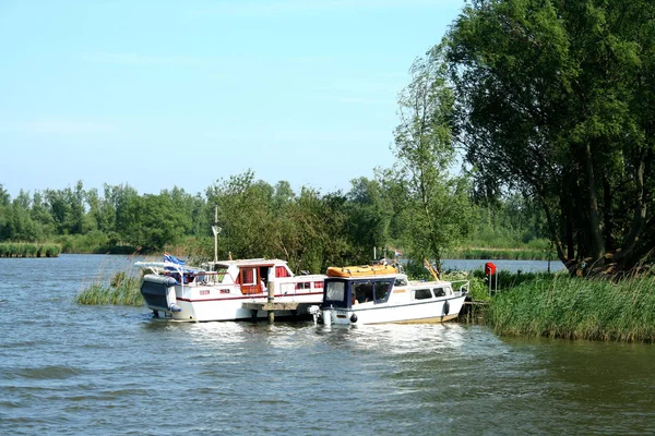 Biesbosch nationalpark, — Stockfoto