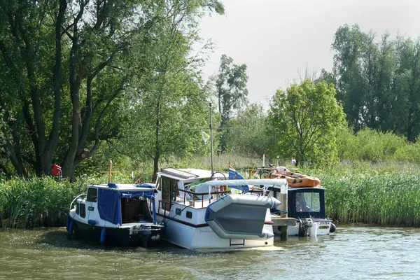 Park narodowy Biesbosch, — Zdjęcie stockowe