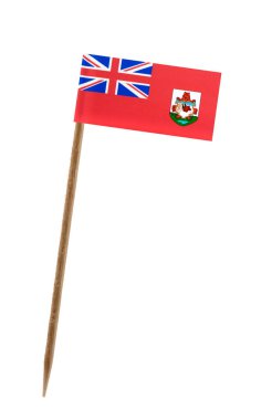 küçük kağıt bayrak