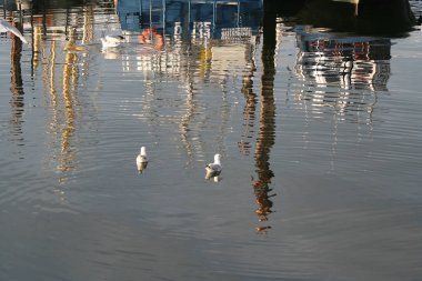 fishingboats Harbour yansımaları
