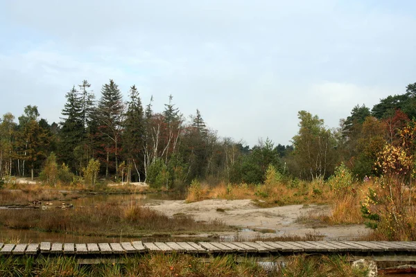 Omgivningarna arround röd Bach — Stockfoto