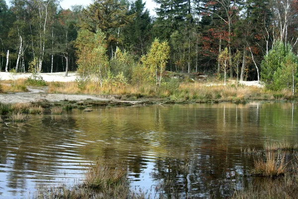 Omgivningarna arround röd Bach — Stockfoto