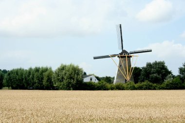 Eski Cornmill Köyü