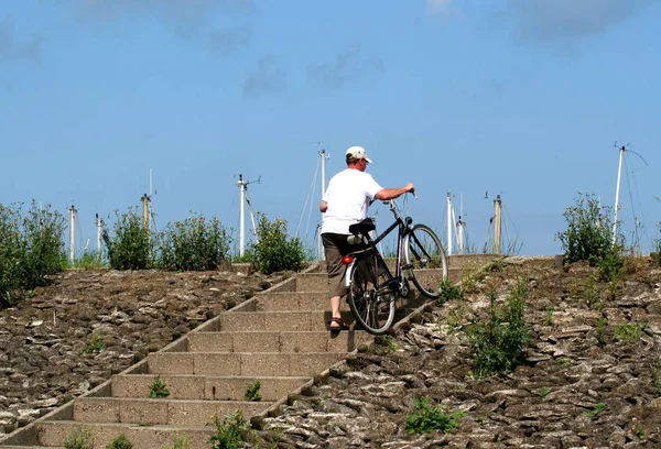 Colijnsplaat의 제방에 자전거 — 스톡 사진