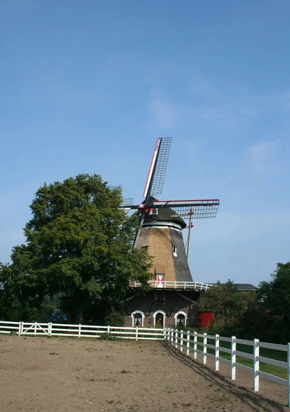 Yel değirmeni Katewijkse Molen — Stok fotoğraf