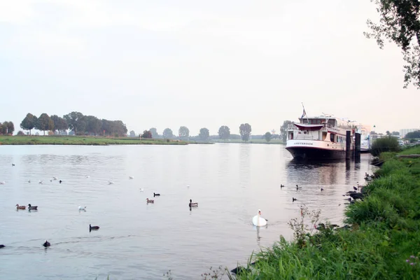 Linkeroever van rivier de Maas — Stockfoto