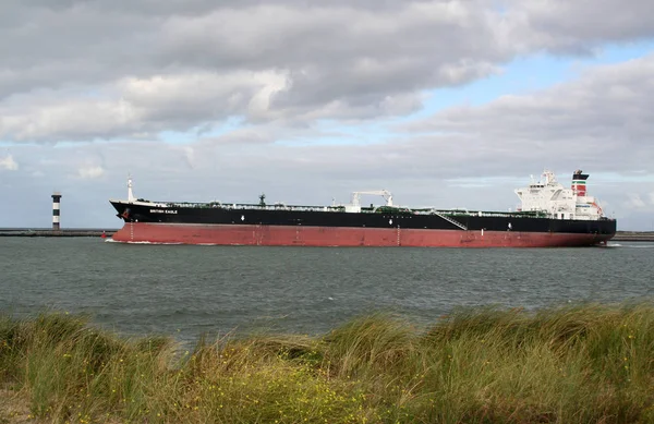 International shipping in Rotterdam — Stock Photo, Image