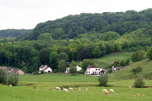 Wysyłka w Rotterdamie — Zdjęcie stockowe