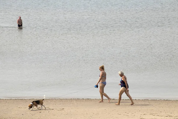 Brouwersdam, Delta inşaat yedinci yapısı eğlenceye Beach.