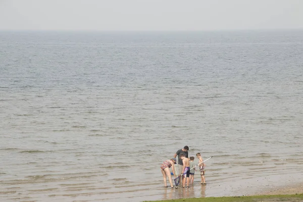 Strandvergnügen am Browersdam, dem siebten Bauwerk des Deltawerks. — Stockfoto