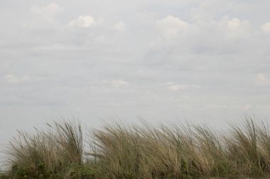 Brouwersdam, Delta inşaat yedinci yapısını manzara.