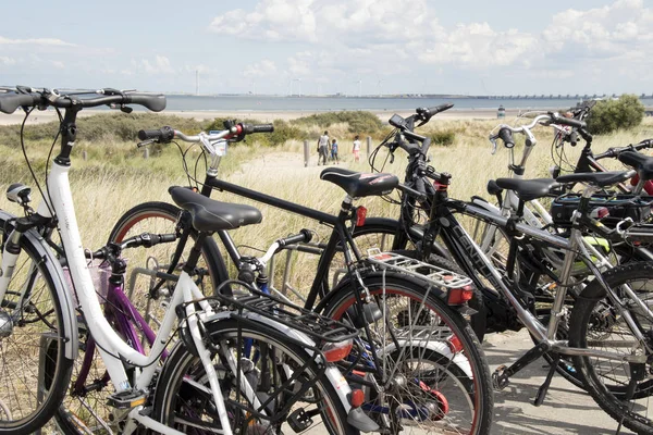 Vélos garés au sommet de la dune — Photo