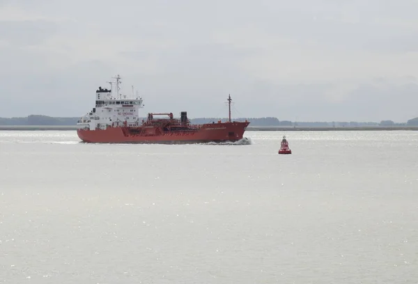 Large vessel coming from Antwerp harbor — Stock Photo, Image