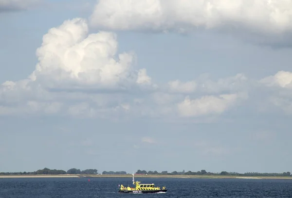 Workboat op de Westerschelde, — Stockfoto