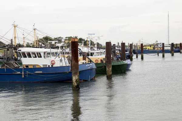 Årligt evenemang i hamnen av Yerseke — Stockfoto