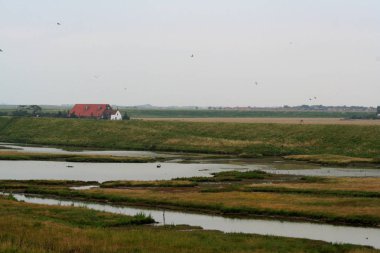 Easterscheldt üzerinden görünüm