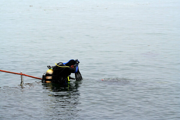 scuba divers in Eastern Scheldt