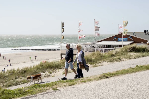 Casal com cão andando ao longo da praia — Fotografia de Stock