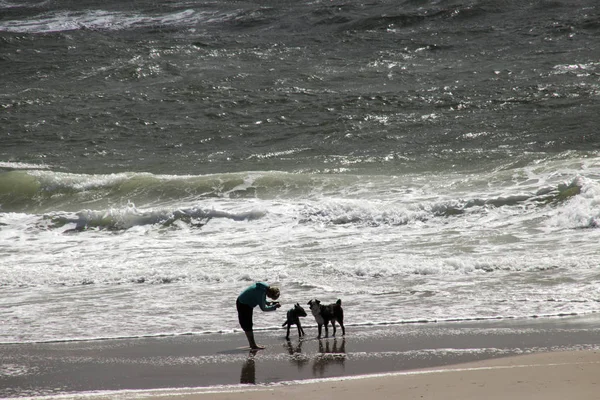 Люди играют на пляже во время шторма — стоковое фото