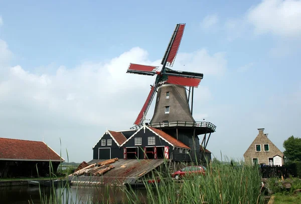 De woodsaw-molen de Rat in Ijlst — Stockfoto