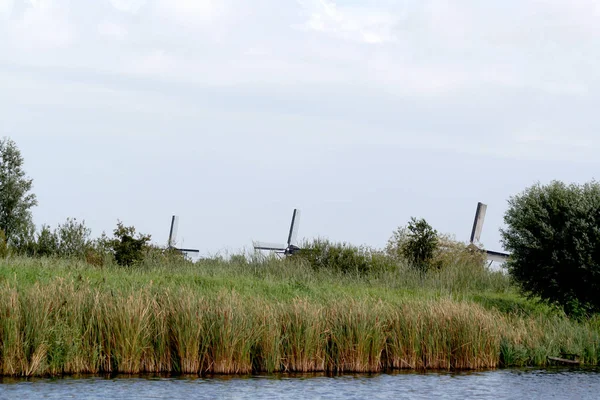 Moulins à vent de Kinderdijk en Hollande — Photo