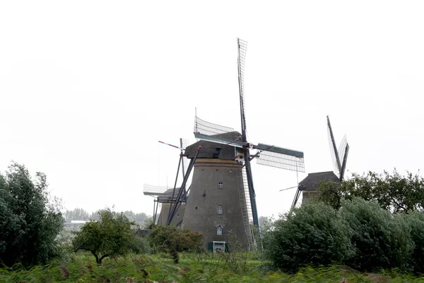 Doğal Hollanda yel değirmenleri — Stok fotoğraf
