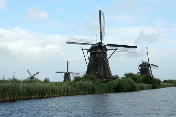 Doğal Hollanda yel değirmenleri